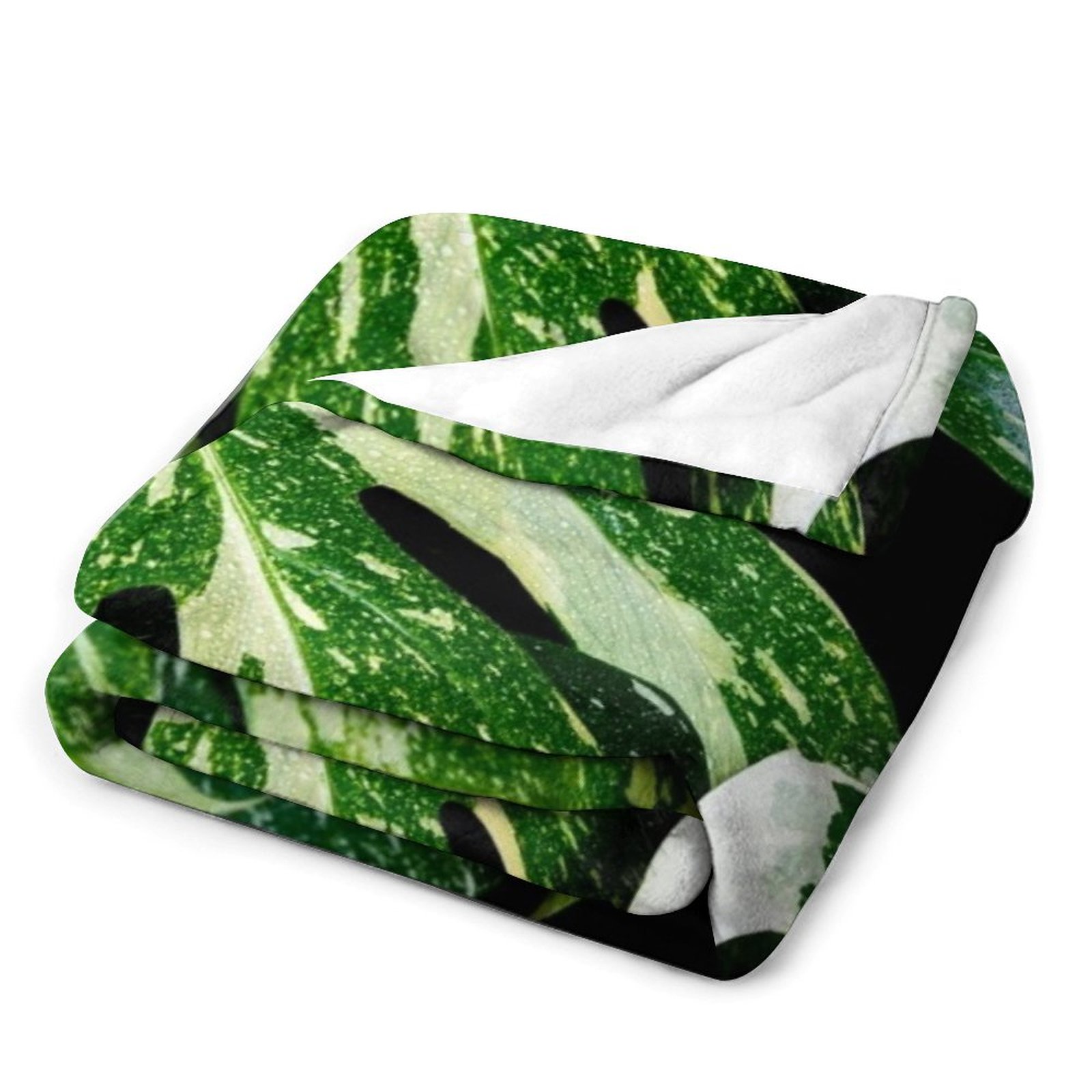Monstera Thai Constellation Th - Monstera Thai Constellation 评论和价格