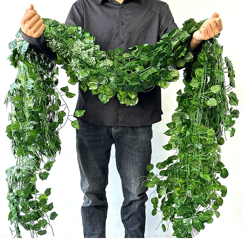 2.1M Green Ivy Leaf Hanging Vi - String Of Pearls Plant 评论和价格