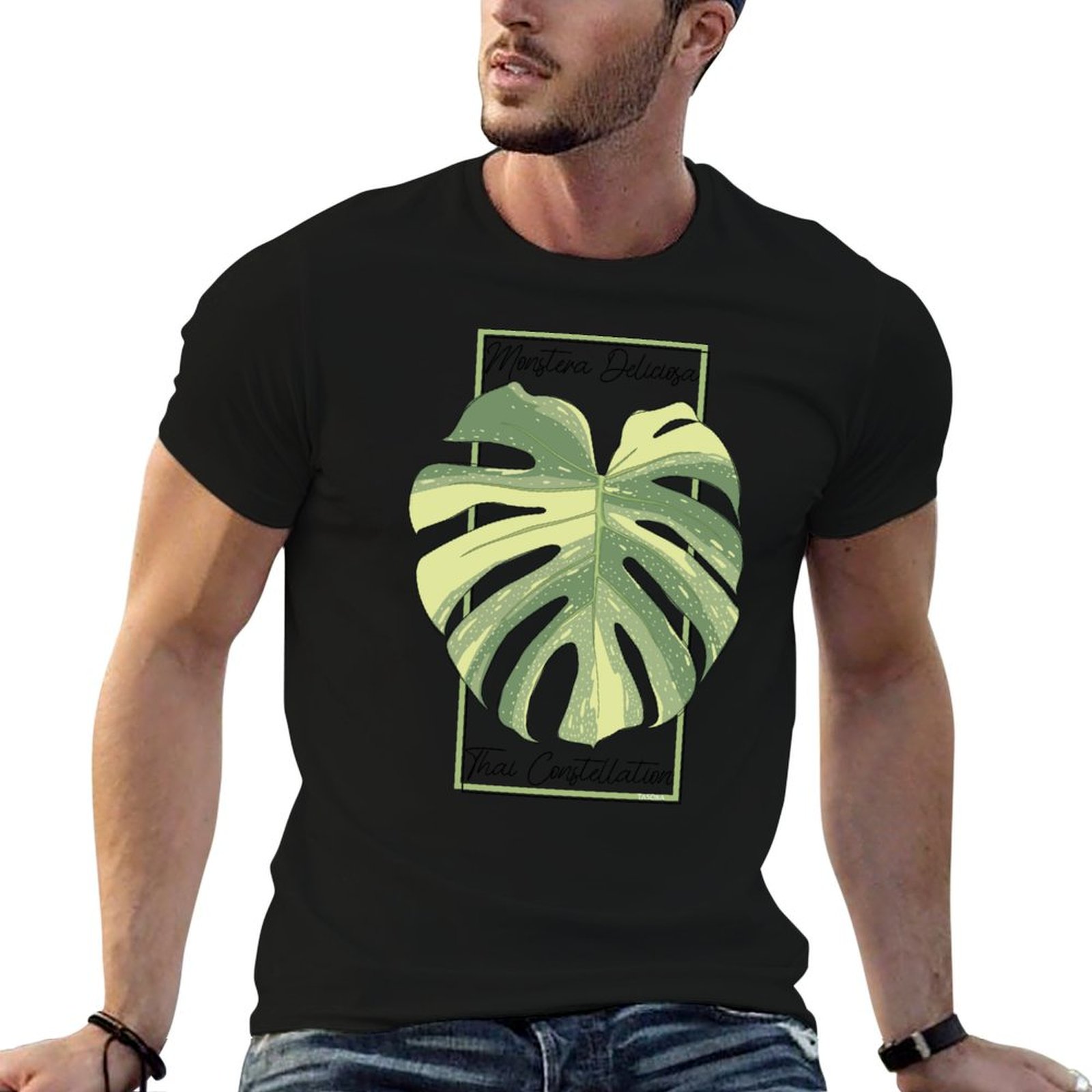 Monstera Thai Constellation Bo - Monstera Thai Constellation 评论和价格