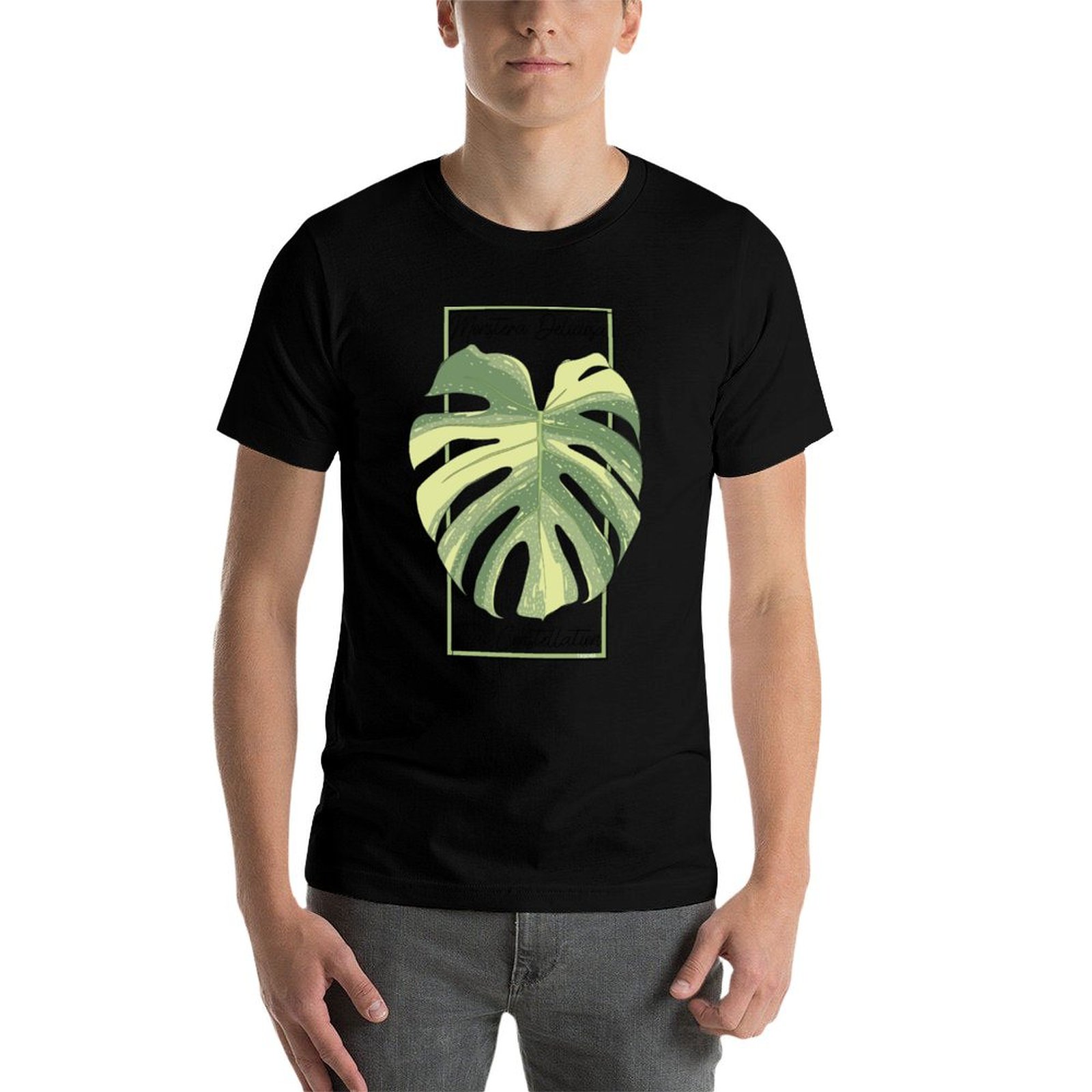 Monstera Thai Constellation Bo - Monstera Thai Constellation 评论和价格