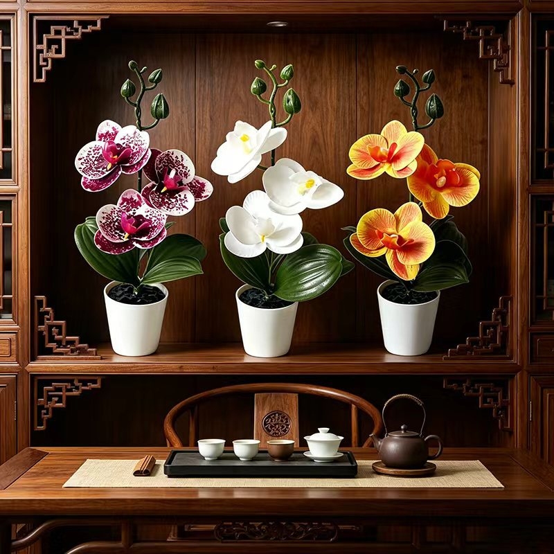 Mini Butterfly Orchid Potted P - Orchid Phalaenopsis 评论和价格