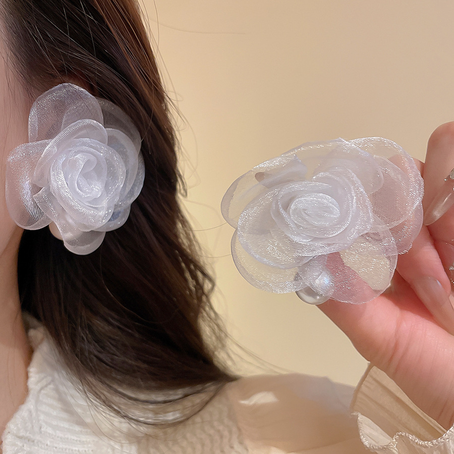 6/10 Pcs Sheer Mesh Lace Fabri - String Of Pearls Plant 评论和价格