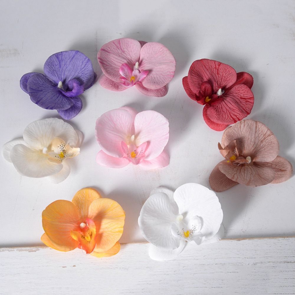DIY Phalaenopsis Flower Head H - Orchid Phalaenopsis 评论和价格