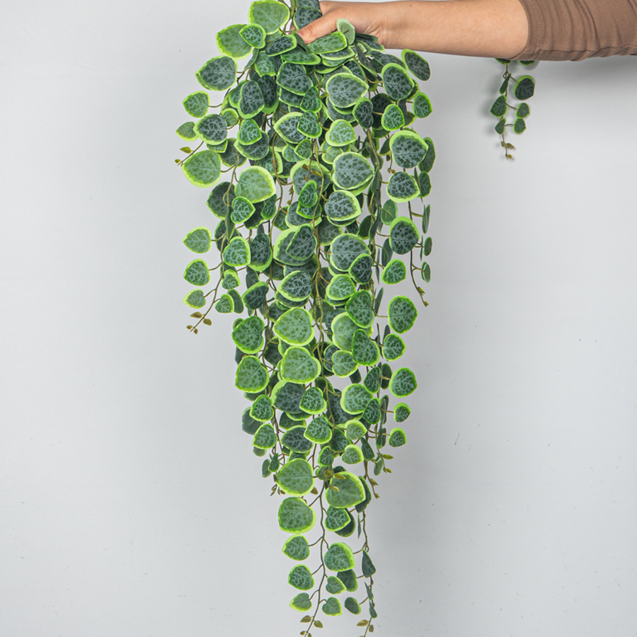 60-80cm Artificial Hanging Vin - String Of Pearls Plant 评论和价格