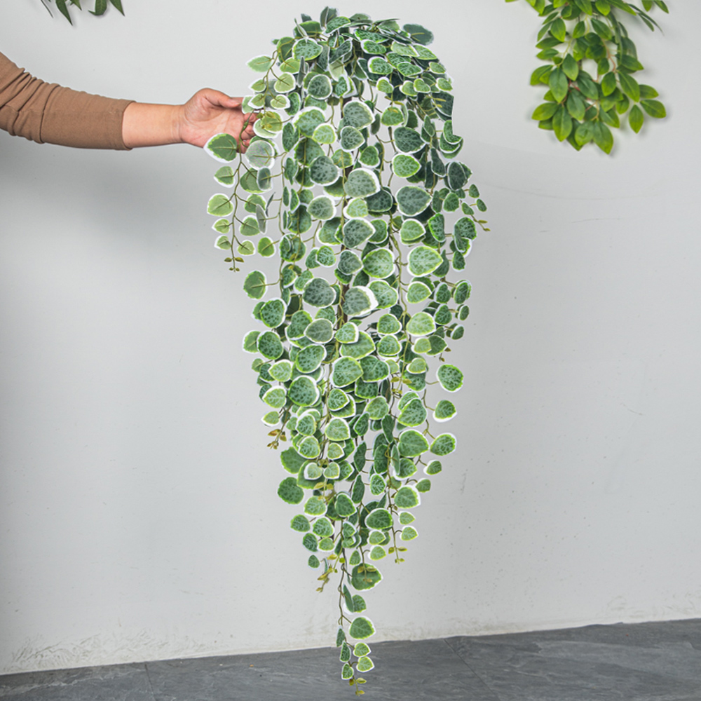 60-80cm Artificial Hanging Vin - String Of Pearls Plant 评论和价格