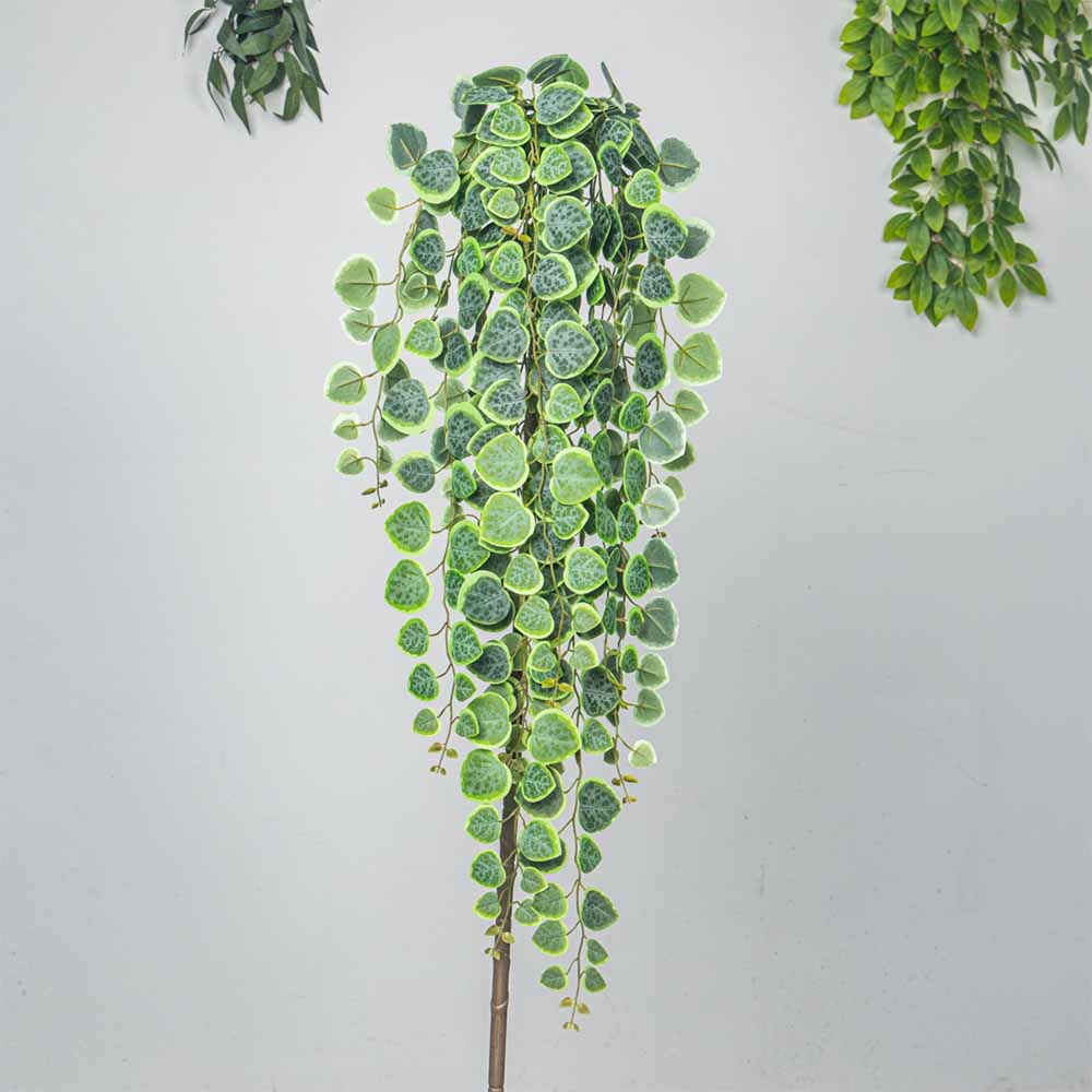 60-80cm Artificial Hanging Vin - String Of Pearls Plant 评论和价格