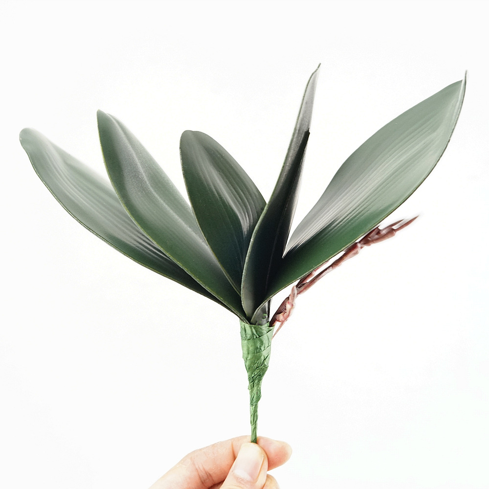 3pc Eva Simulation Phalaenopsi - Orchid Phalaenopsis 评论和价格