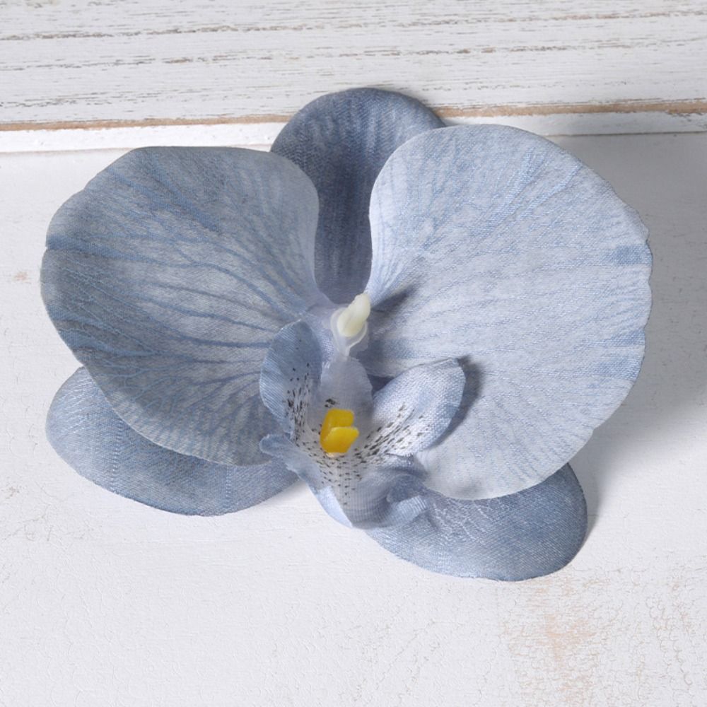 DIY Phalaenopsis Flower Head 1 - Orchid Phalaenopsis 评论和价格