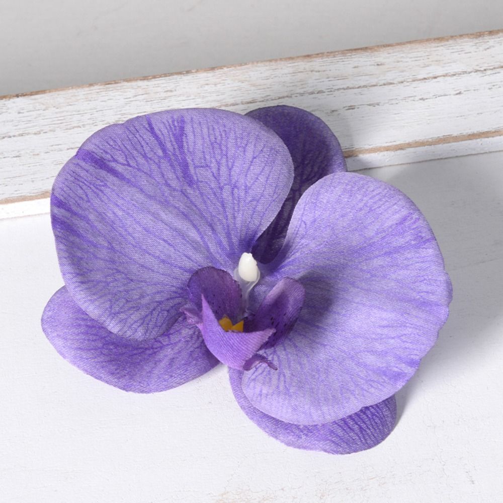 DIY Phalaenopsis Flower Head 1 - Orchid Phalaenopsis 评论和价格