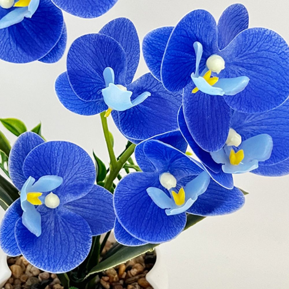 Multi-Bloom Simulated Butterfl - Orchid Phalaenopsis 评论和价格