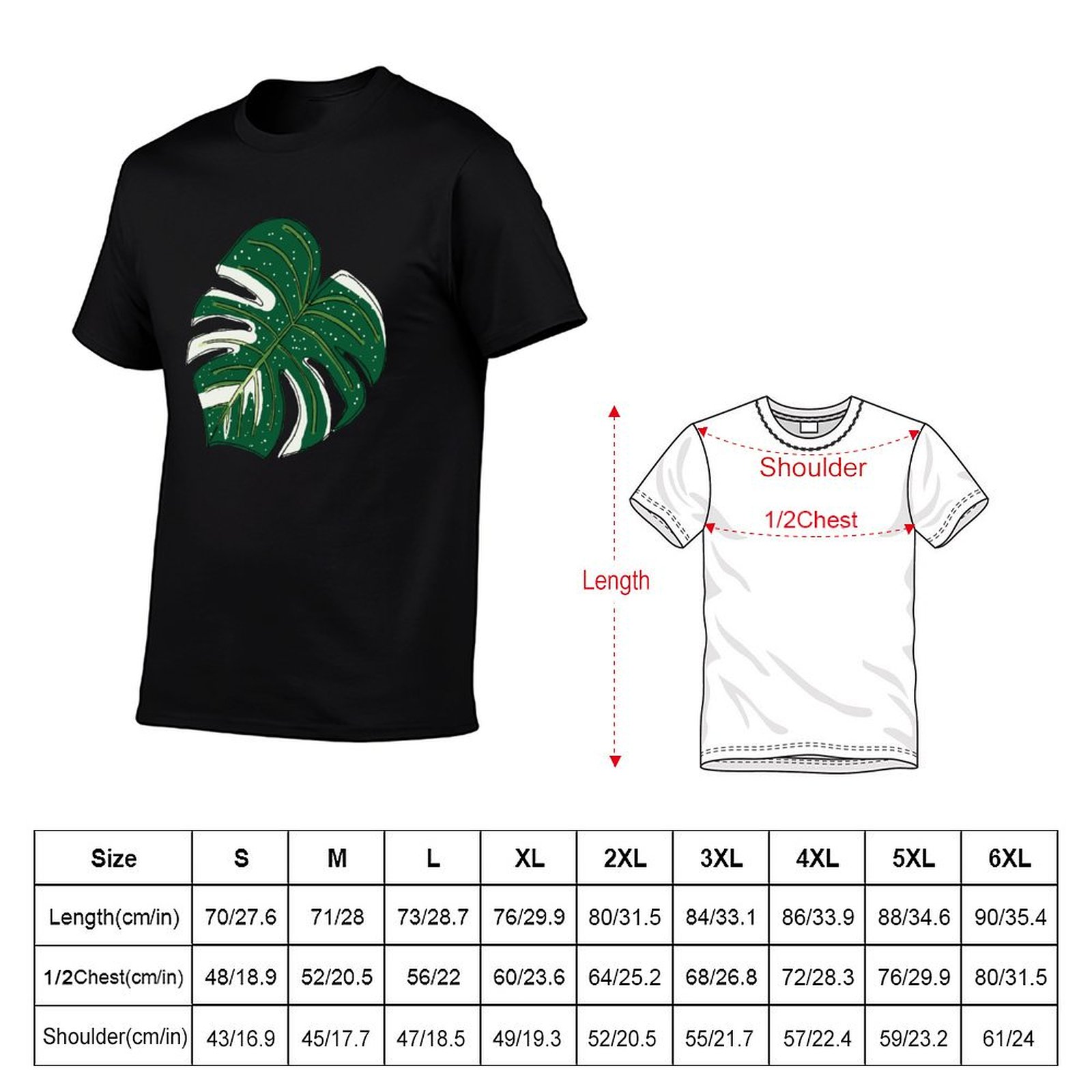 Monstera Thai Constellation T- - Monstera Thai Constellation 评论和价格